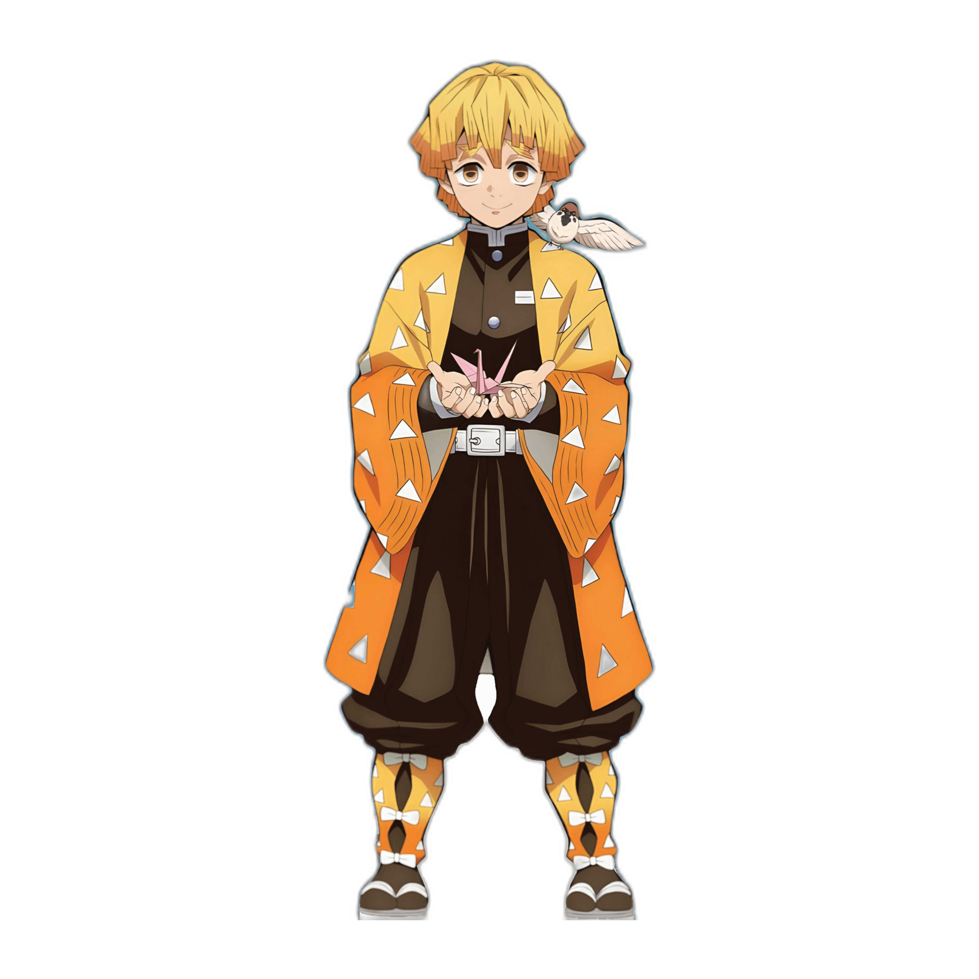 ZENITSU AGATSUMA 1