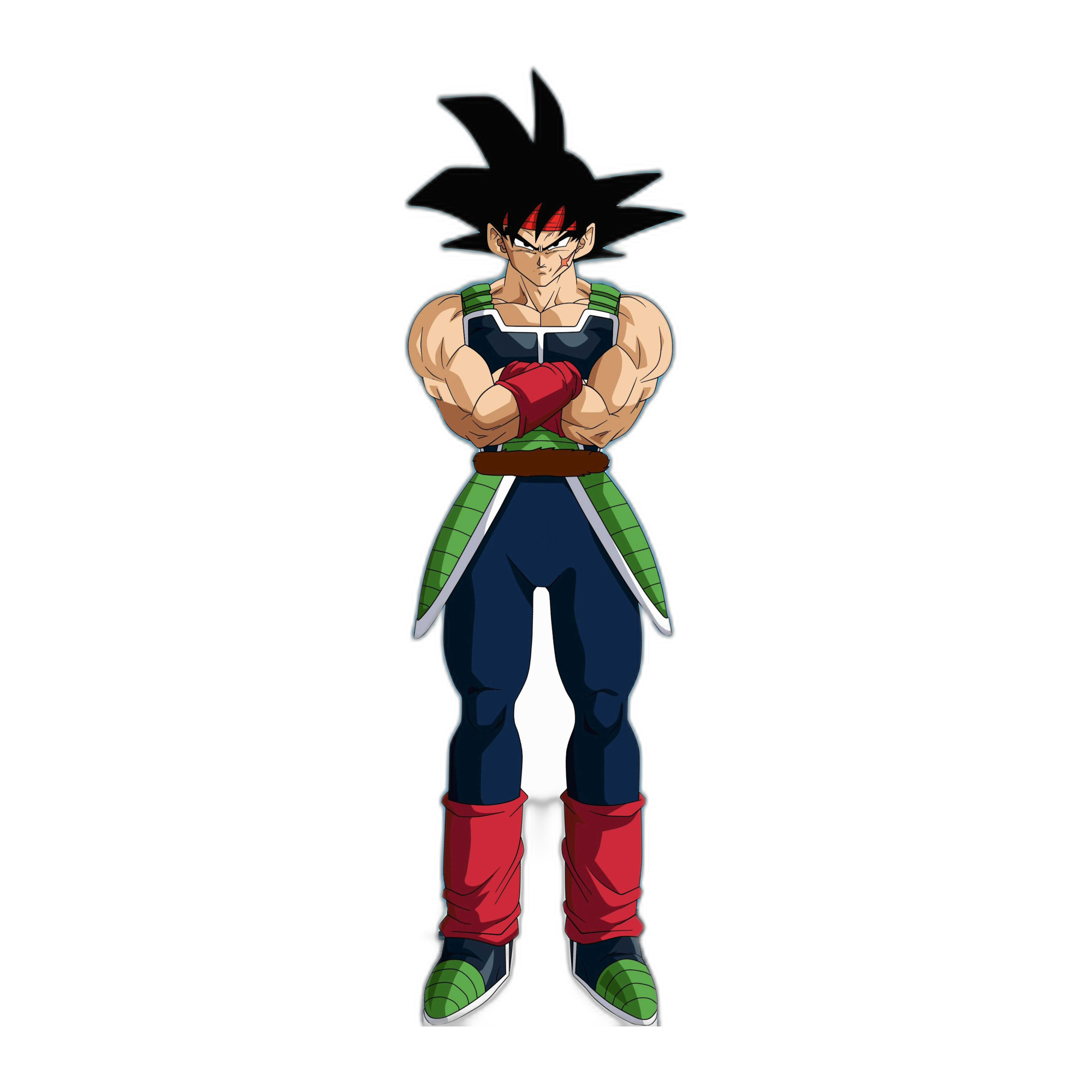 BARDOCK 1