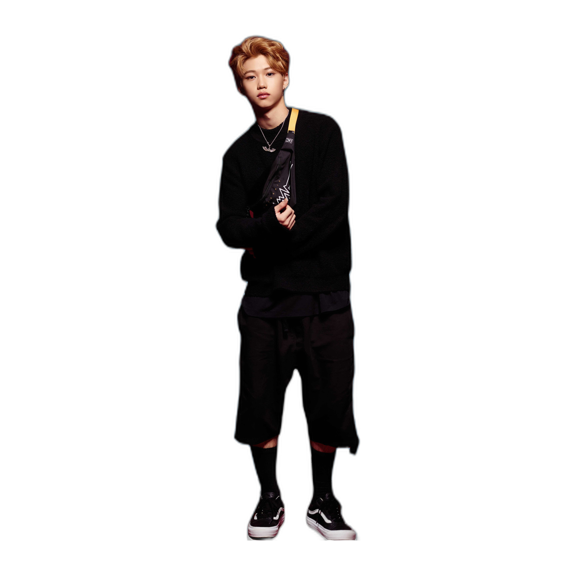 FELIX LEE 1