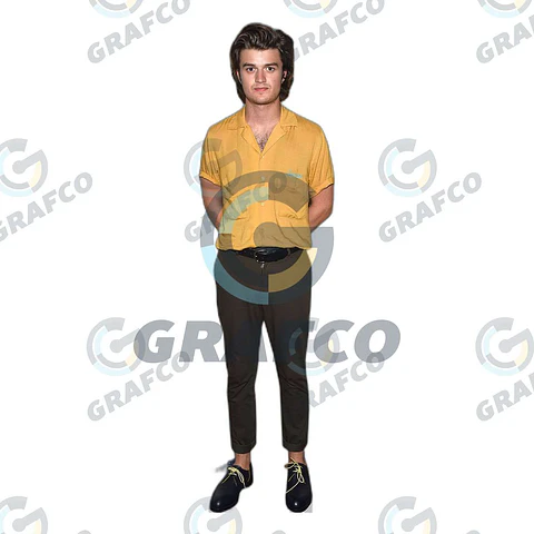 Steve Harrington