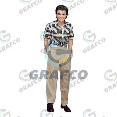 Joe Keery