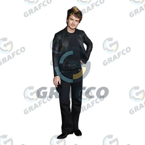 Joe Keery