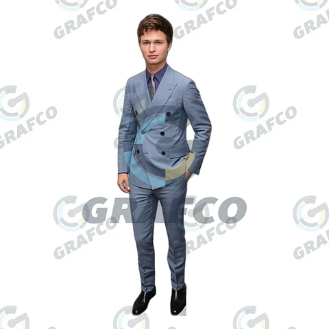 Ansel Elgort
