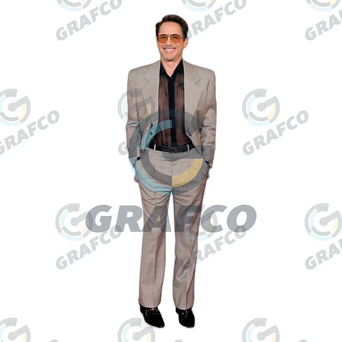 Robert Downey Jr