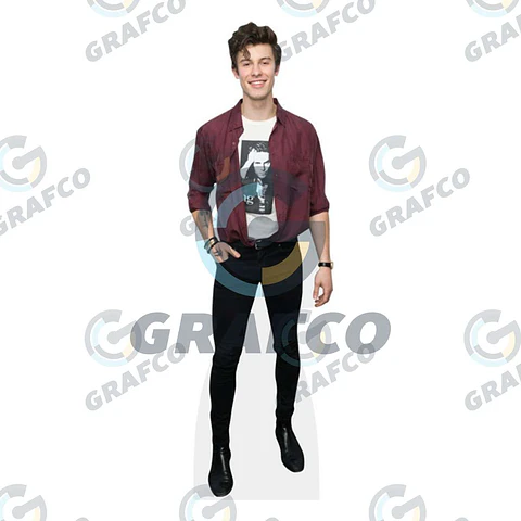 Shawn Mendes