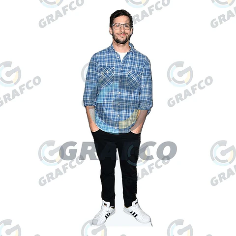 Andy Samberg