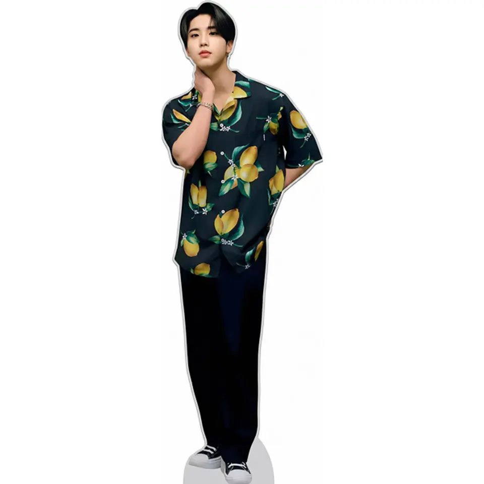 Han Stray Kids 1
