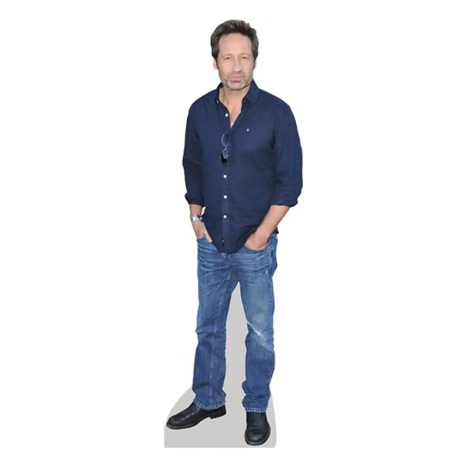 David Duchovny 1