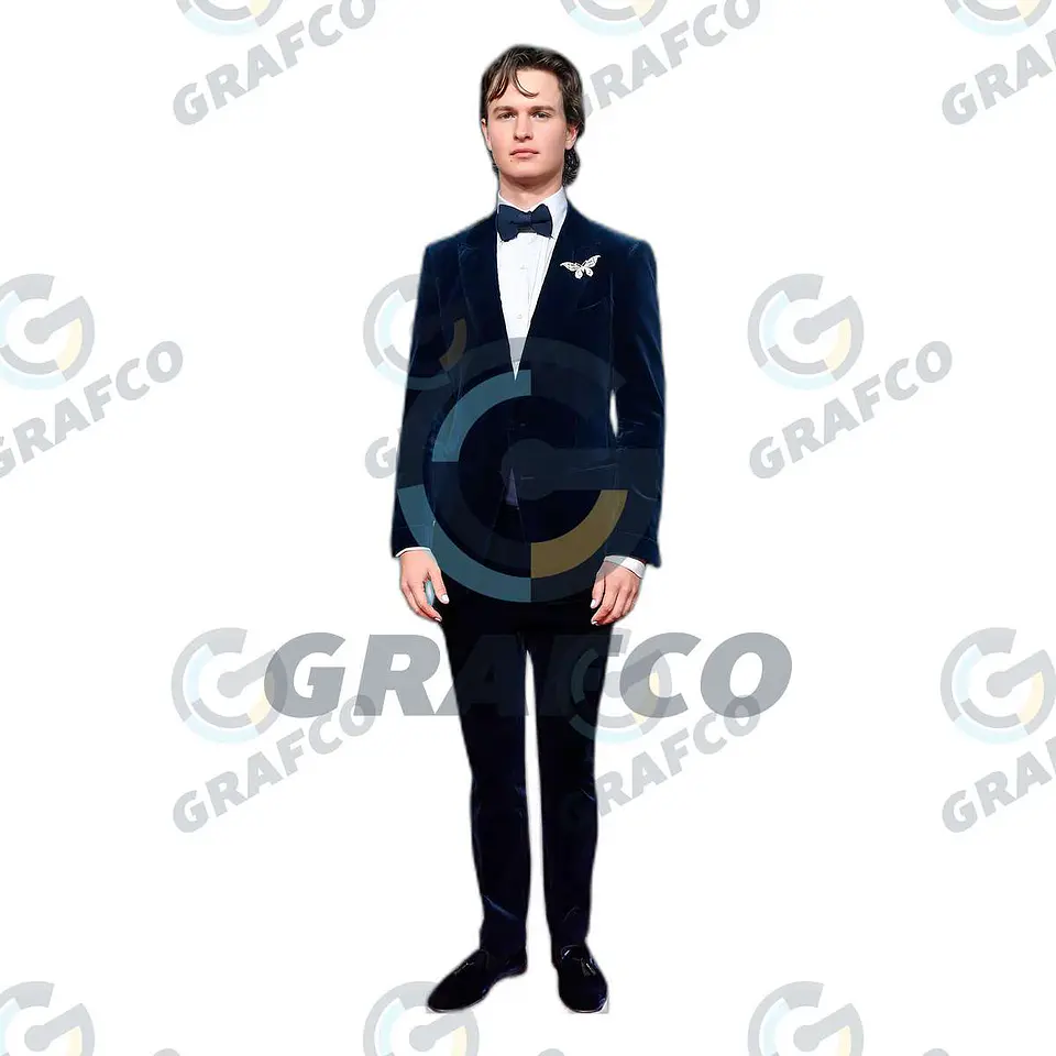 Ansel Elgort 1