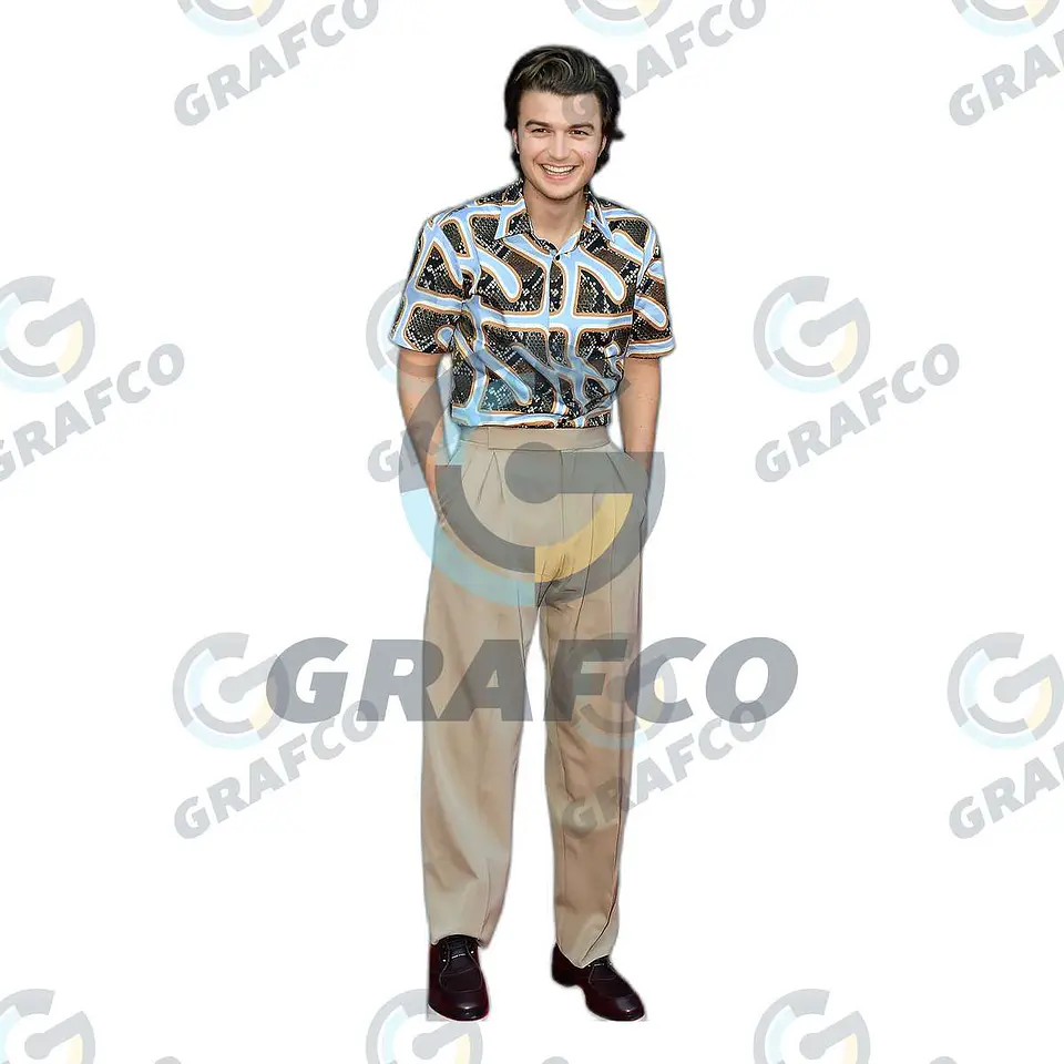 Joe Keery 1