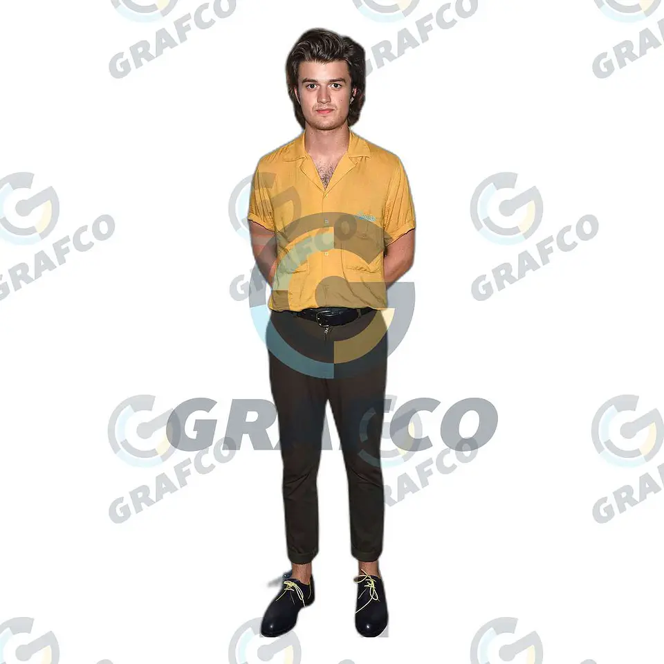 Steve Harrington 1
