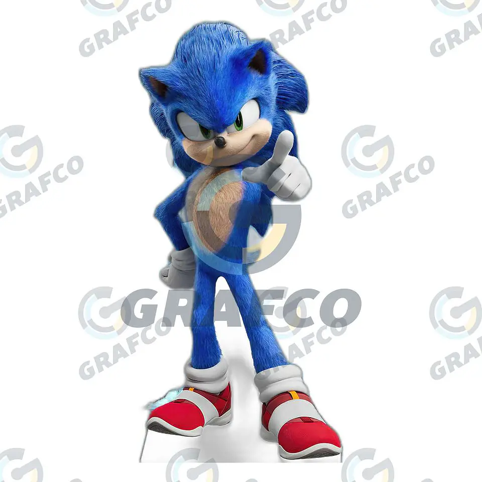 Sonic Hedgehog 1