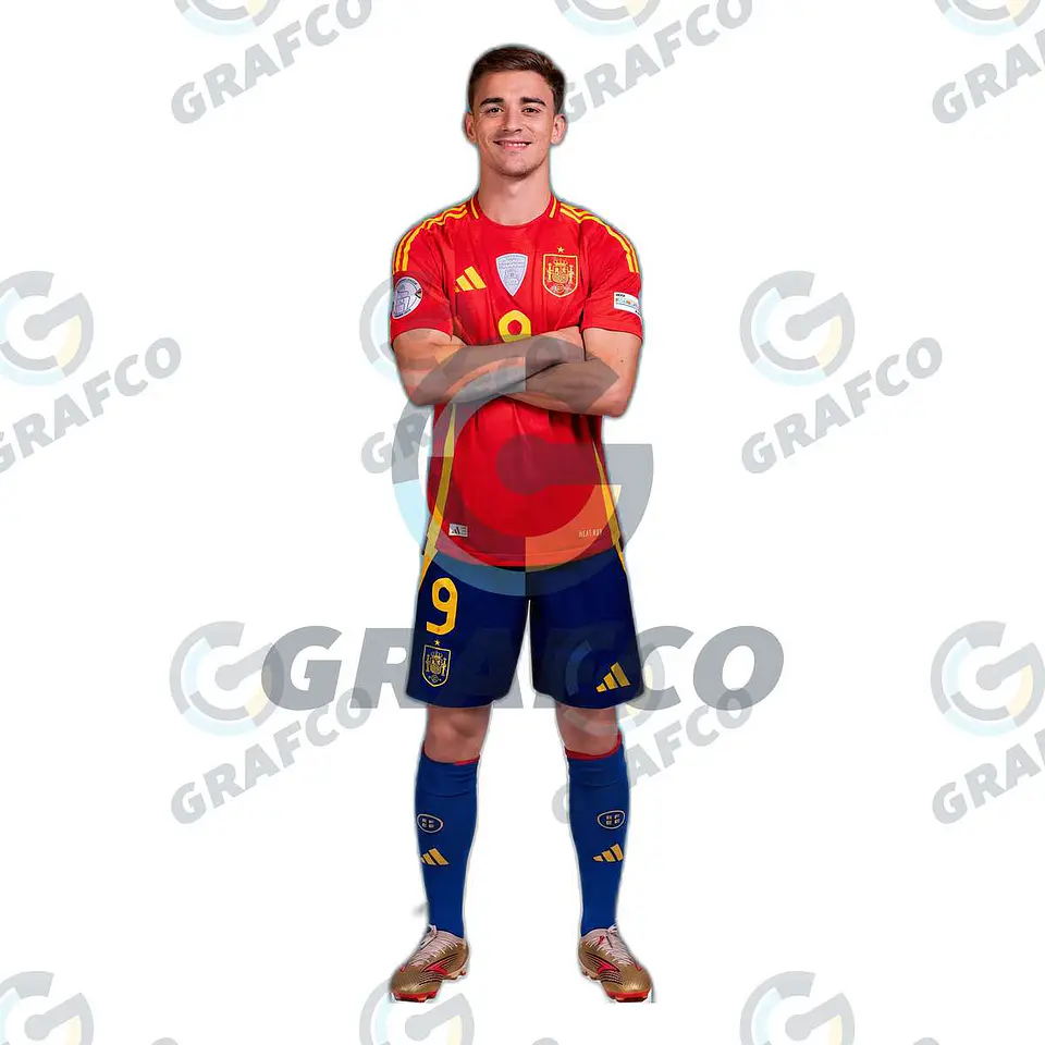 Gavi 1
