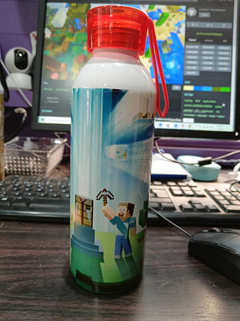 Botella Agua Minecraft Steve Alex Videojuegos Grafimax 2