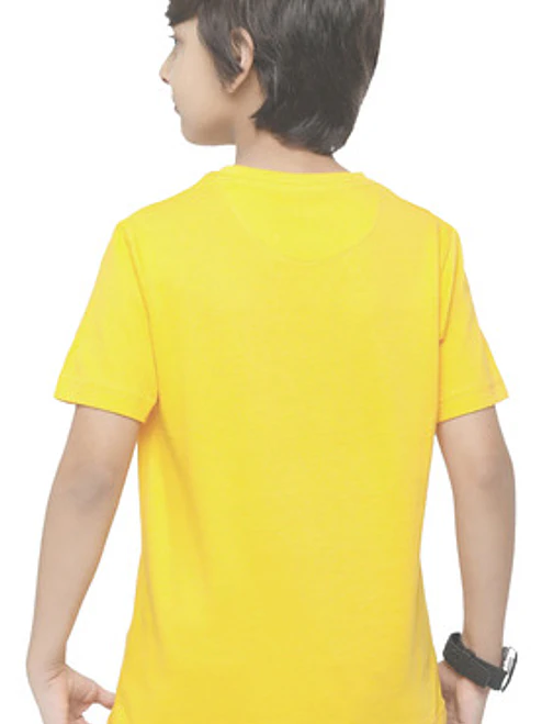 Polera Anime Pikachu Level Diseños Grafimax 12