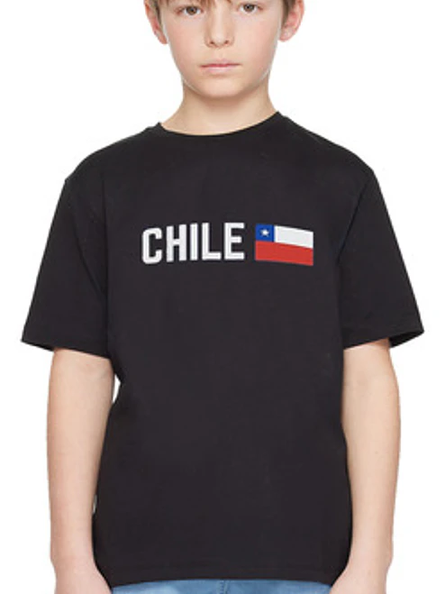 Polera Chile Nombre Y Mapa Fiestas Patrias 18 Niño Grafimax 1