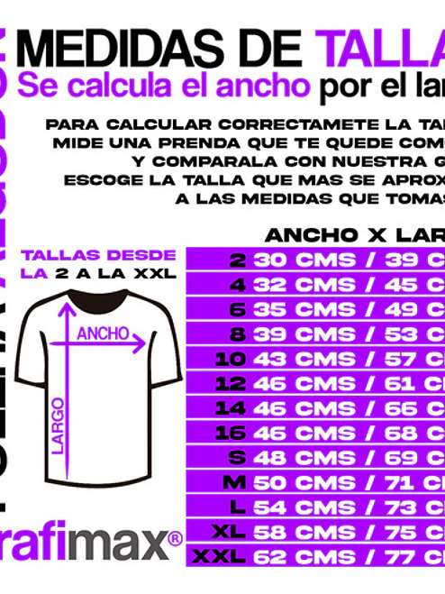 Polera Mujer System Of A Down Grupo Gris Desgastada Grafimax 5