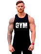 Polera Musculosa The Gym Gimnasio Fitness Grafimax - Miniatura 1