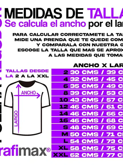 Polera Chile Fiestas Patrias Mancha Bandera Mancha Grafimax 4
