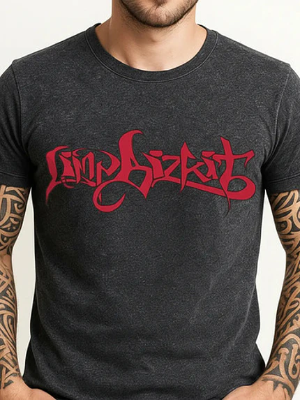 Polera Limp Bizkit Logo Desgastada Nu Metal Rock Grafimax 4