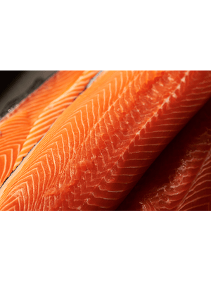 FILETE TRUCHA CON PIEL PREMIUM DE EXPORTACIÓN (CAJA 10KG - $12.990/kg) - VENCIMIENTO: DESDE 02/05/2026