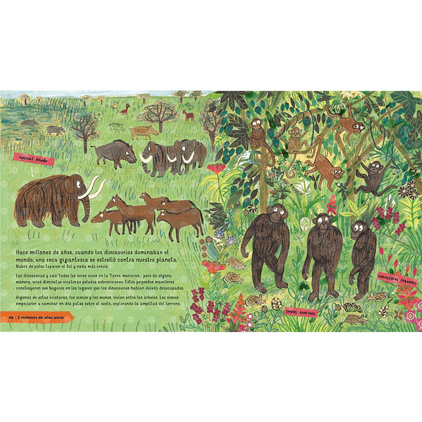 LA HISTORIA DE LAS PERSONAS - BARR, CATHERINE; WILLIAMS, STEVE | TAPA DURA 2