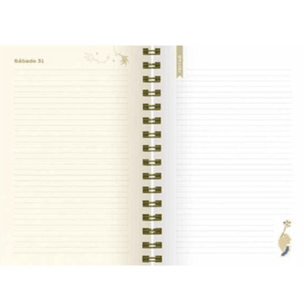 AGENDA MÍSTICA 2026 - EQUIPO EDITORIAL | TAPA DURA 2