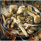 FUEGO & PARRILLA - VERGARA, ÁNGELES | TAPA RÚSTICA CON SOLAPA 5