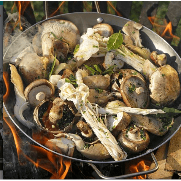 FUEGO & PARRILLA - VERGARA, ÁNGELES | TAPA RÚSTICA CON SOLAPA 5