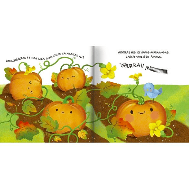 HISTORIAS DE LA NATURALEZA: PEQUEÑA CALABACITA - EQUIPO EDITORIAL I TAPA BLANDA 2