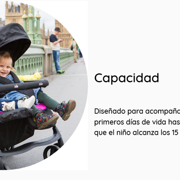 JOIE - COCHE PASEO DOBLE AIRE TWIN  NECTAR & MINERAL / PRODUCTO SUBPRIME 8