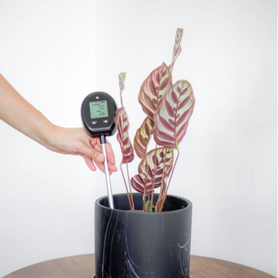 TELLUS, MEDIDOR DE TIERRA 5 EN 1  3