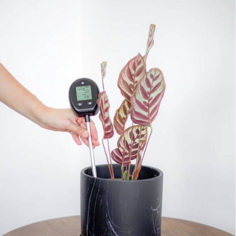 TELLUS, MEDIDOR DE TIERRA 5 EN 1  3