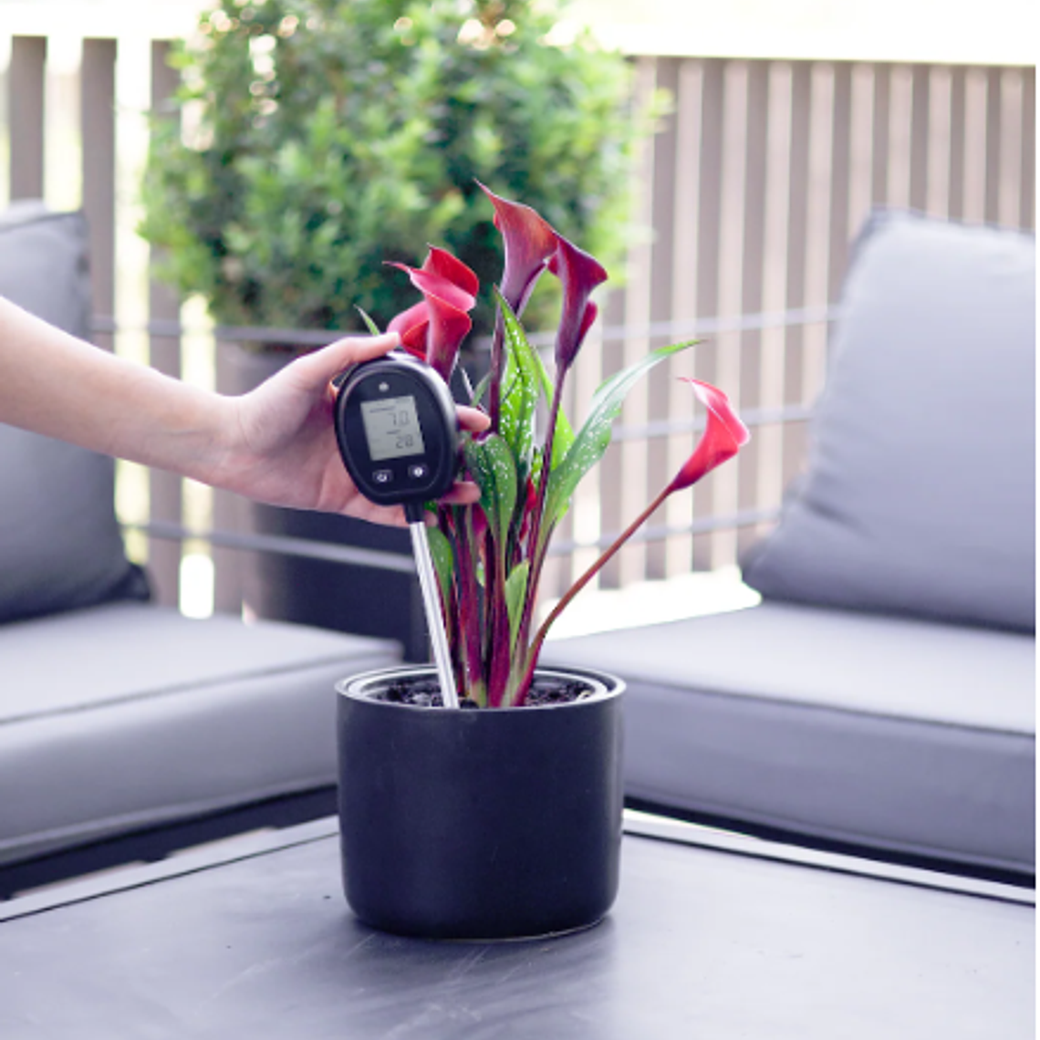 TELLUS, MEDIDOR DE TIERRA 5 EN 1  4