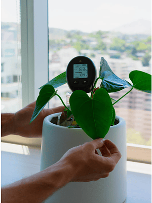 TELLUS, MEDIDOR DE TIERRA 5 EN 1 