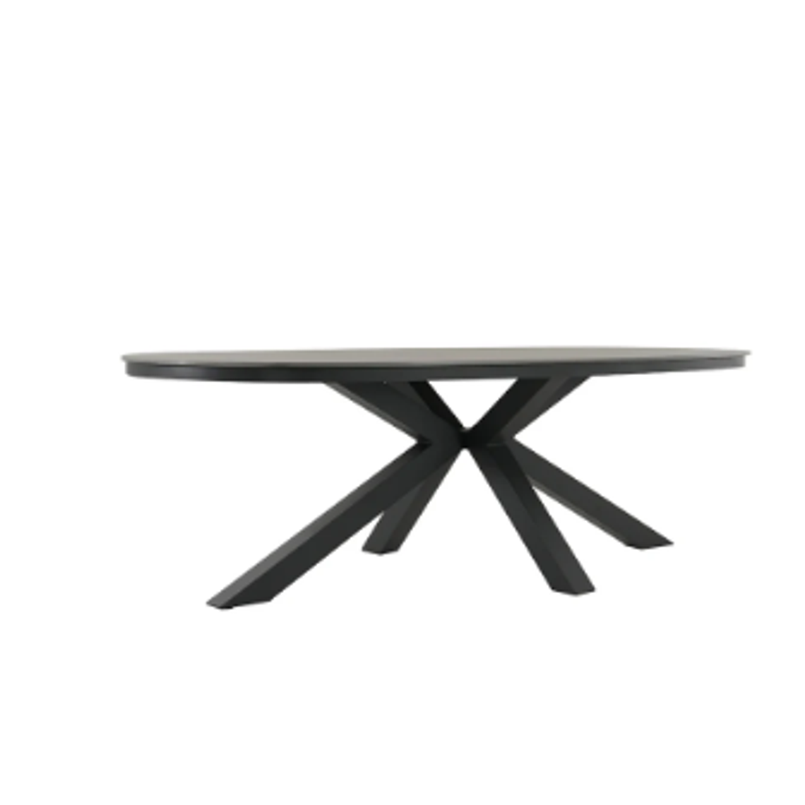 MESA NEREA OVALADA (240x113x75 cm) 2