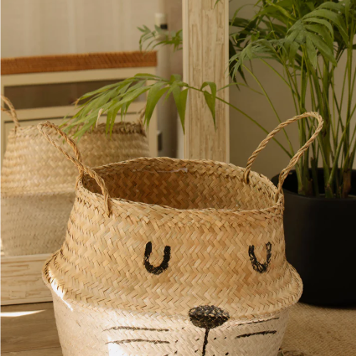 CANASTO BIGOTES XL 5