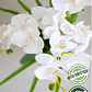 ORQUIDEA BLANCA 60 CM (ECO SINTETICA) - Miniatura 2