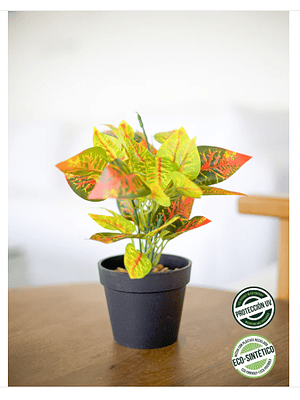 CROTONS ECO SINTETICA 22 CM 