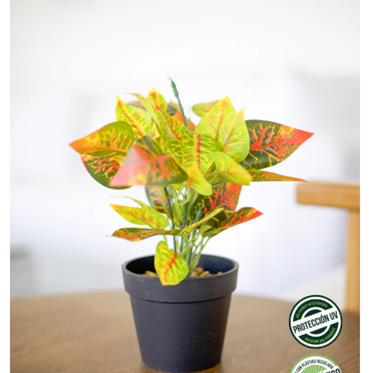 CROTONS ECO SINTETICA 22 CM  1