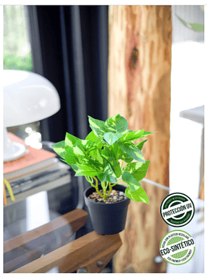 POTHUS ECO SINTETICA 25 CM 