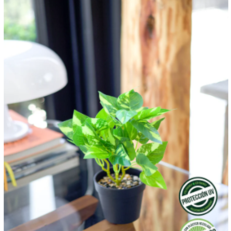 POTHUS ECO SINTETICA 25 CM  1