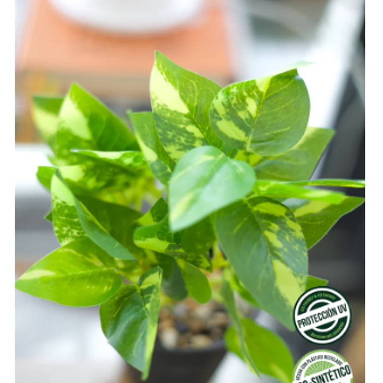 POTHUS ECO SINTETICA 25 CM  2