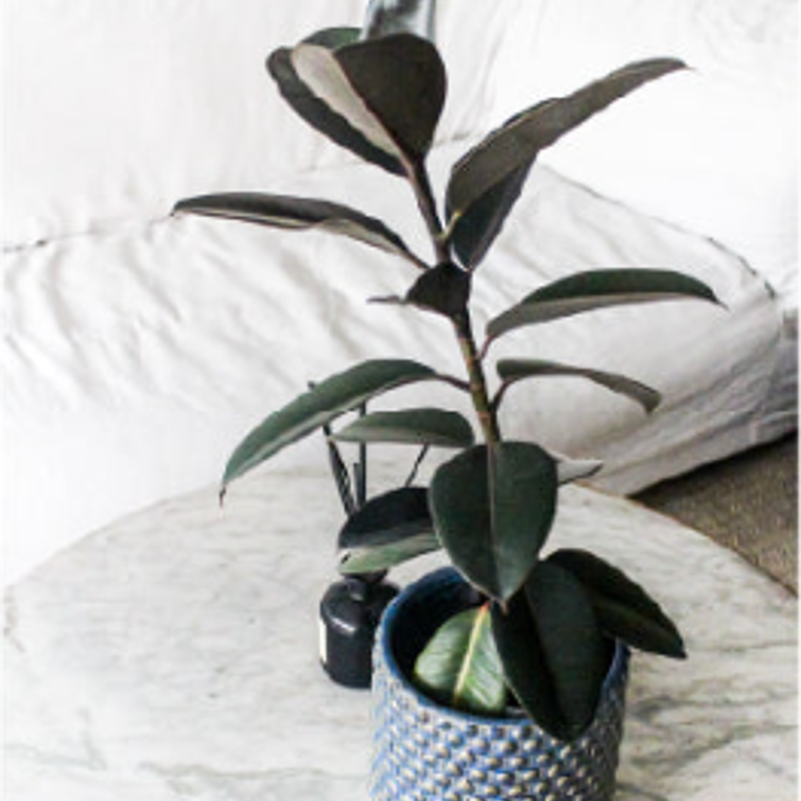 OSLO 20X20 AZUL (PORTA MACETERO CERÁMICA M) 3