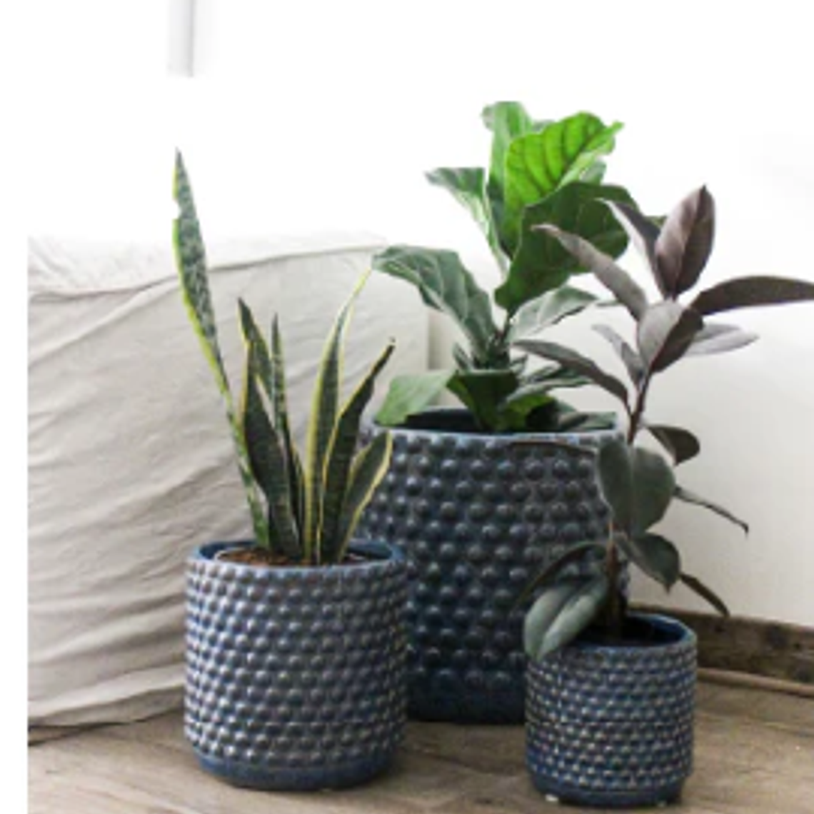 OSLO 20X20 AZUL (PORTA MACETERO CERÁMICA M) 4