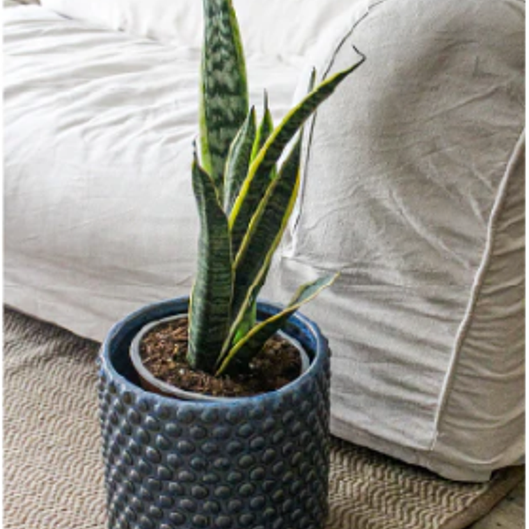 OSLO 27X27 AZUL (PORTA MACETERO CERÁMICA L) 3