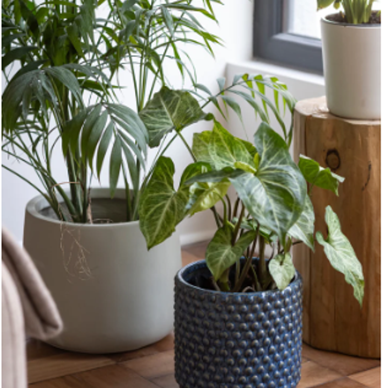 OSLO 27X27 AZUL (PORTA MACETERO CERÁMICA L) 4