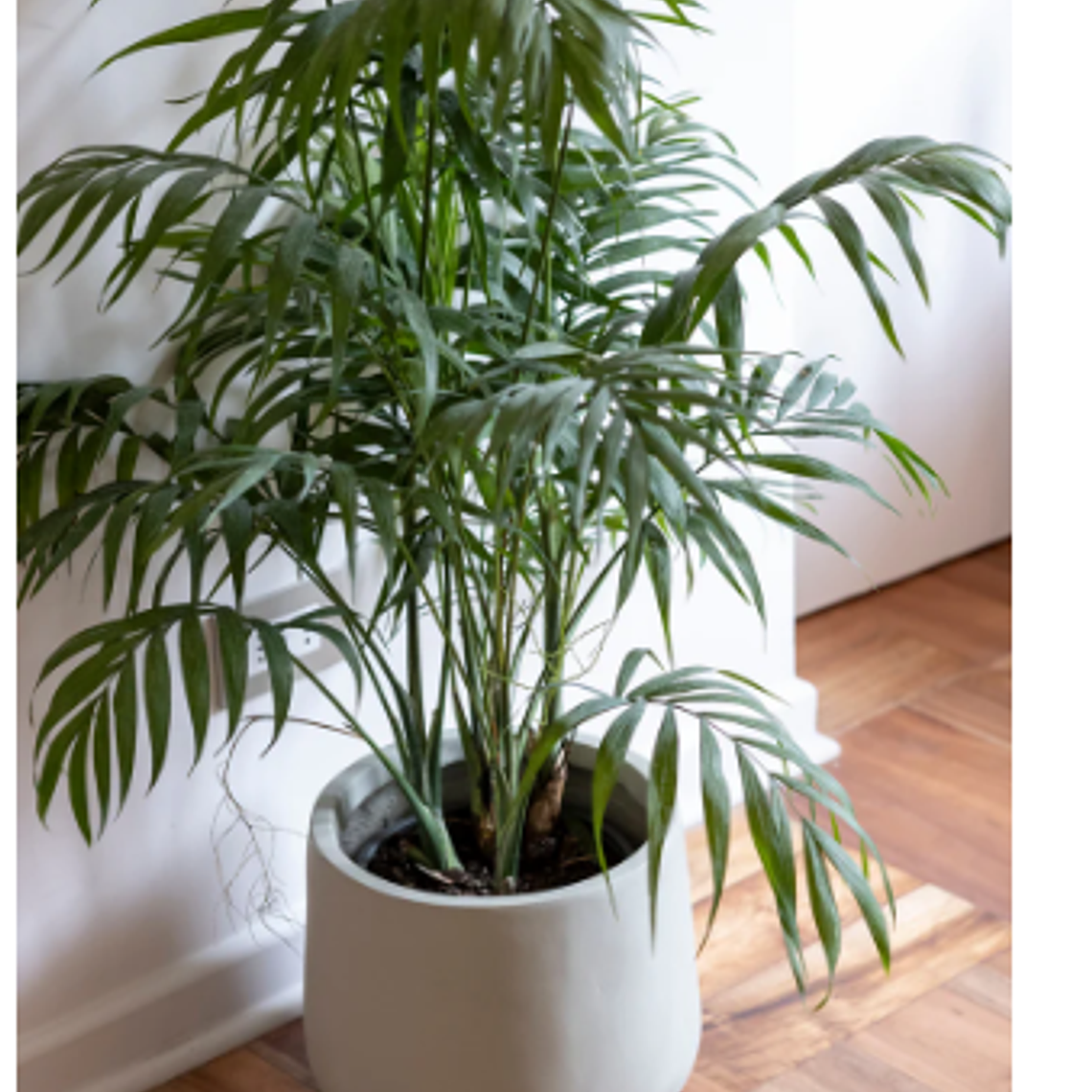 MARRUECOS 35X33 GRIS (MACETERO FIBRA DE ARCILLA XL) 3