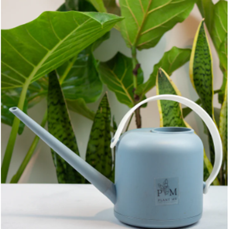 REGADERA ROMA AZUL 1