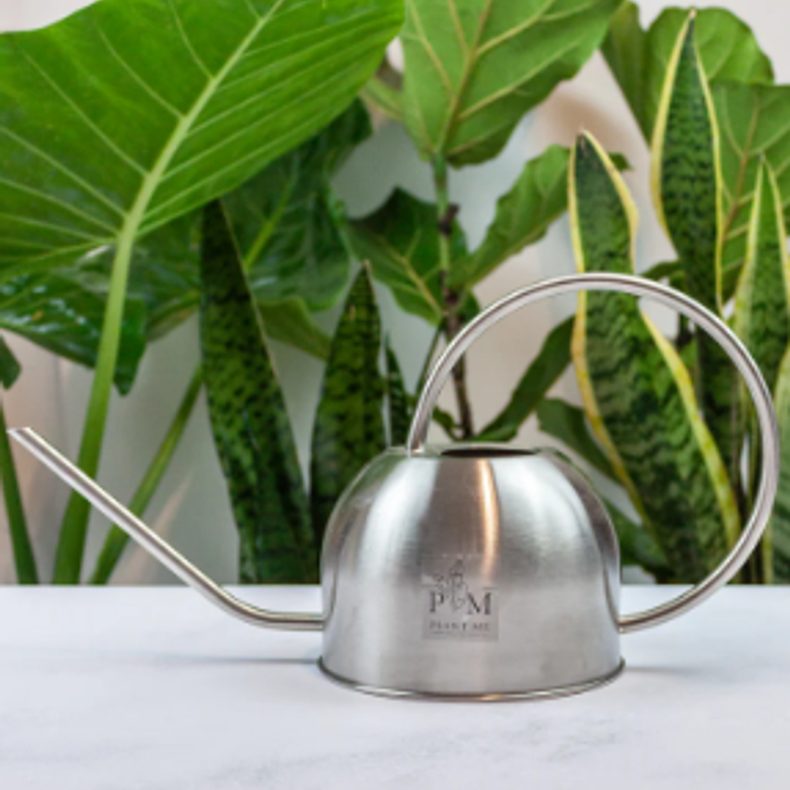 REGADERA BERNA SILVER 2